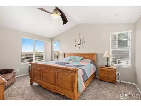 2277 Stonefish Dr, Windsor, CO 80550 photo 16