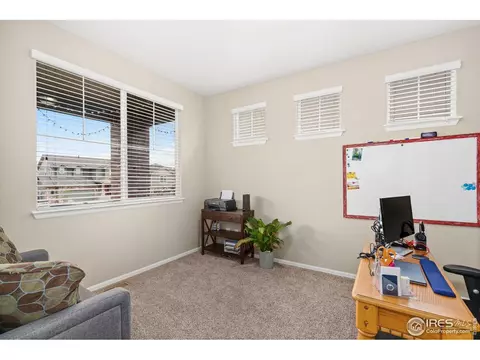 2277 Stonefish Dr, Windsor, CO 80550 photo 11