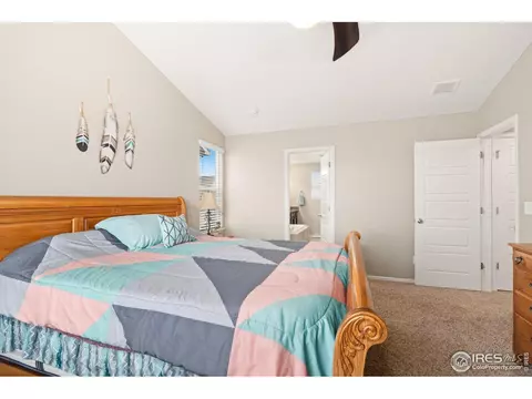 2277 Stonefish Dr, Windsor, CO 80550 photo 17