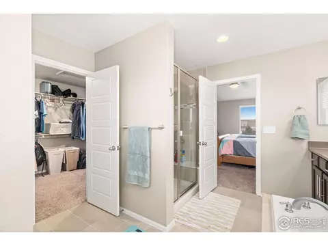 2277 Stonefish Dr, Windsor, CO 80550 photo 18