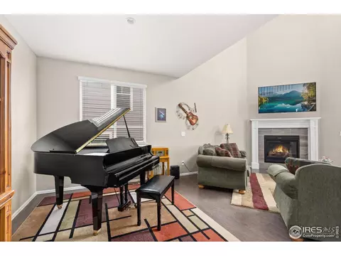 2277 Stonefish Dr, Windsor, CO 80550 photo 6
