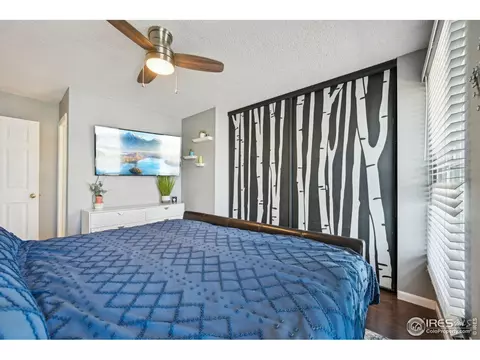 21112 E 45th Ave, Denver, CO 80249 photo 22