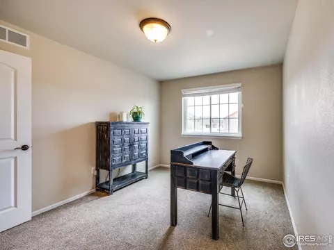 3338 Auklet Dr, Berthoud, CO 80513 photo 24