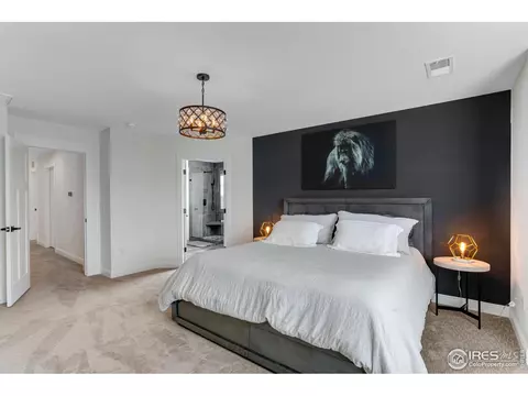 6772 Flintlock Rd, Timnath, CO 80547 photo 21