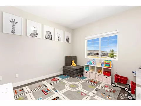 11500 E 162nd Dr, Brighton, CO 80602 photo 16
