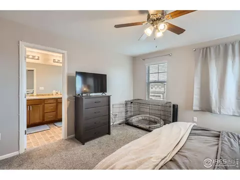 357 Chipman Dr, Windsor, CO 80550 photo 14