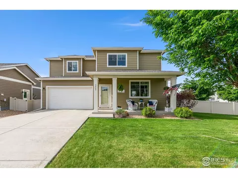 3803 Peach St, Wellington, CO 80549