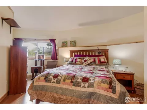 1629 Gold Run Rd, Boulder, CO 80302 photo 22