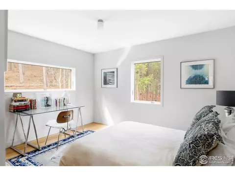6 E Pine St, Nederland, CO 80466 photo 26