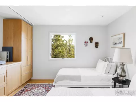 6 E Pine St, Nederland, CO 80466 photo 28