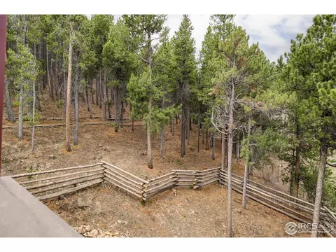 6 E Pine St, Nederland, CO 80466 photo 36