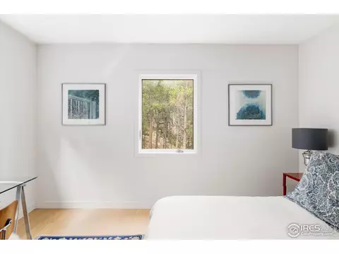 6 E Pine St, Nederland, CO 80466 photo 27
