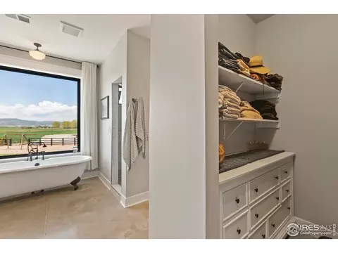 210 Starbright Ct, Wellington, CO 80549 photo 20