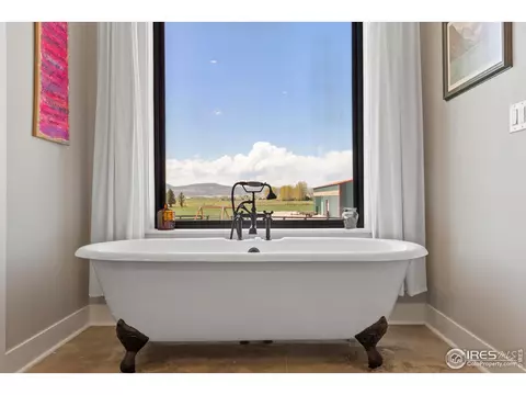 210 Starbright Ct, Wellington, CO 80549 photo 21