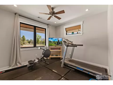 210 Starbright Ct, Wellington, CO 80549 photo 22
