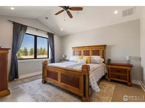 210 Starbright Ct, Wellington, CO 80549 photo 18