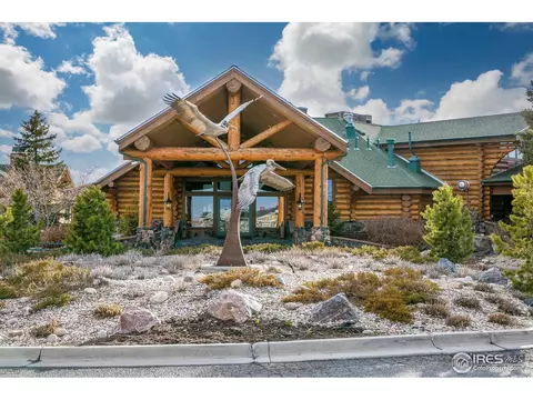 316 Whitney Bay, Windsor, CO 80550 photo 39