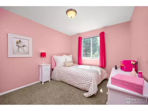 316 Whitney Bay, Windsor, CO 80550 photo 24