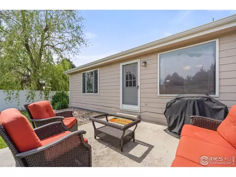 316 Whitney Bay, Windsor, CO 80550 photo 30