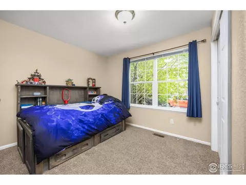 316 Whitney Bay, Windsor, CO 80550 photo 23