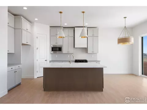 20 Snowcap Dr, Windsor, CO 80550 photo 6