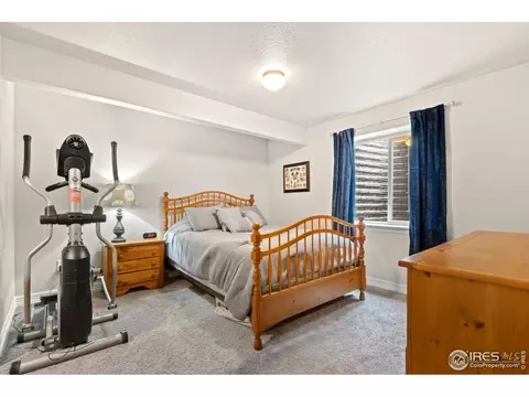 877 Emerald Lakes St, Windsor, CO 80550 photo 22