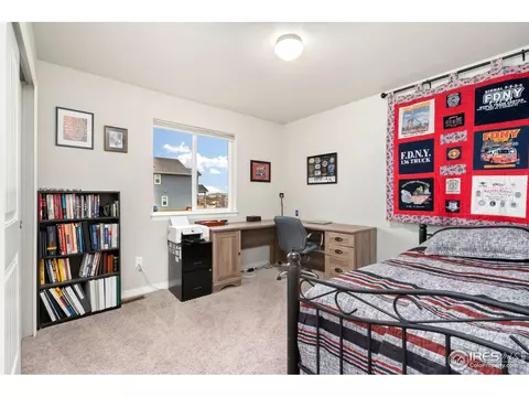 877 Emerald Lakes St, Windsor, CO 80550 photo 17