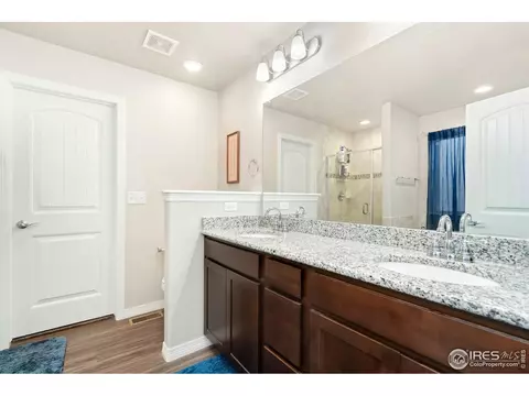 877 Emerald Lakes St, Windsor, CO 80550 photo 13