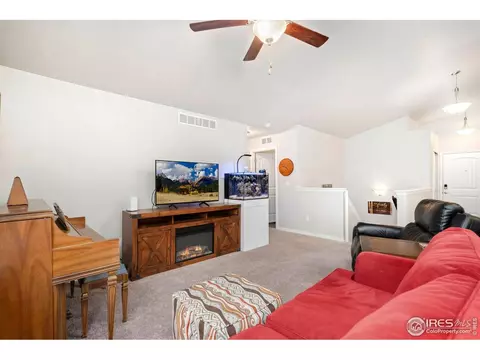 877 Emerald Lakes St, Windsor, CO 80550 photo 10