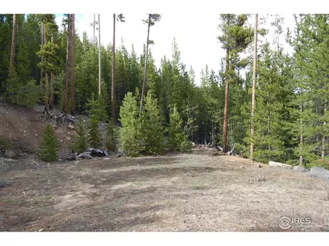226 Shoshoni Dr, Red Feather Lakes, CO 80545