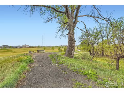 6732 E 119th Ave, Thornton, CO 80233 photo 26