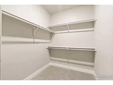1940 Rolling Wind Dr, Windsor, CO 80550 photo 22