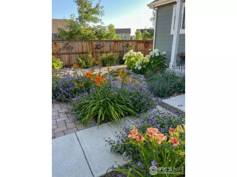 2793 Red Wheat Trl, Berthoud, CO 80513 photo 29