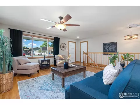 215 Maple Ct, Windsor, CO 80550 photo 4