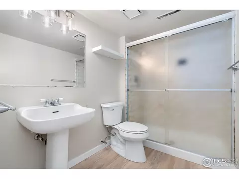 215 Maple Ct, Windsor, CO 80550 photo 28