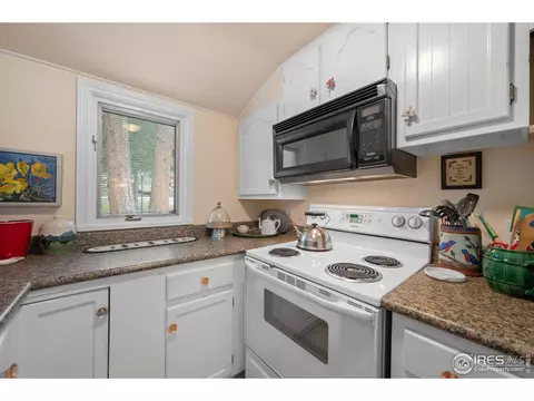 332 Cedar Dr, Lyons, CO 80540 photo 11