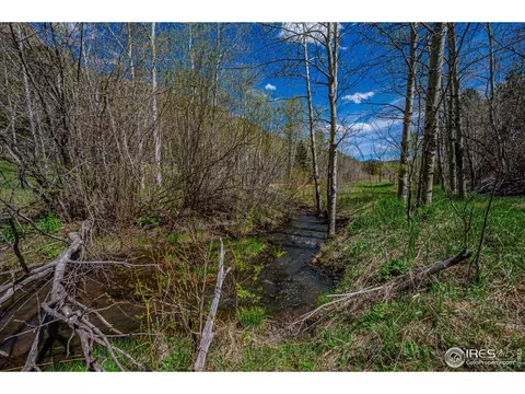 332 Cedar Dr, Lyons, CO 80540 photo 37