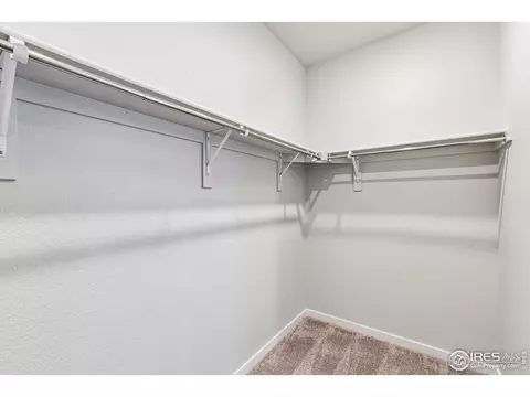 4434 Trader St, Timnath, CO 80547 photo 20