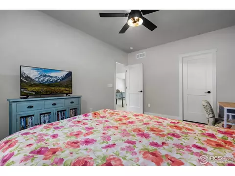 2028 Moon Rise Dr, Windsor, CO 80550 photo 32
