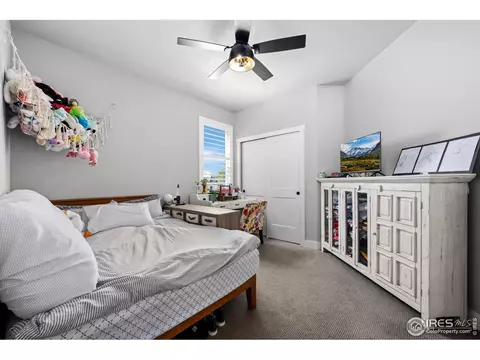 2028 Moon Rise Dr, Windsor, CO 80550 photo 21