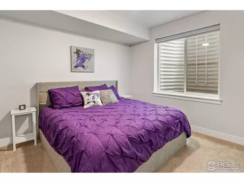 1735 Long Shadow Dr, Windsor, CO 80550 photo 38