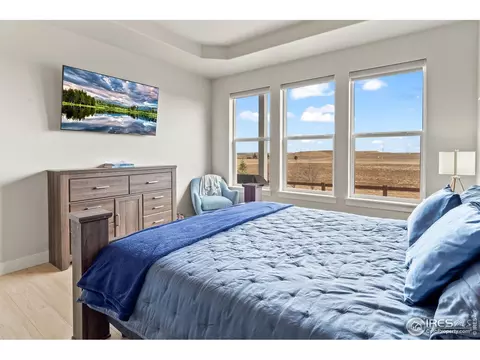 1735 Long Shadow Dr, Windsor, CO 80550 photo 15