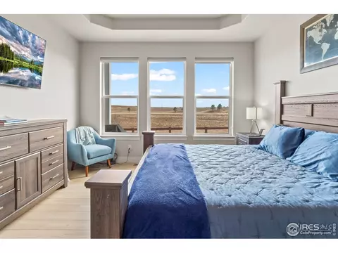 1735 Long Shadow Dr, Windsor, CO 80550 photo 25