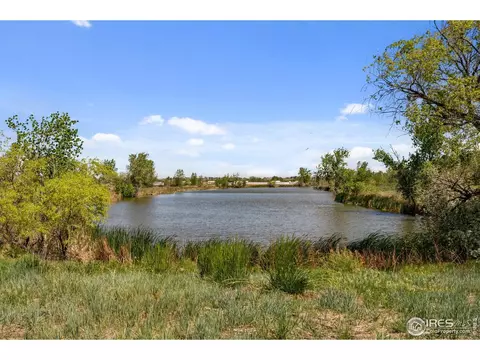 10667 Durango Pl, Longmont, CO 80504 photo 25