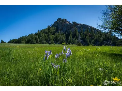 Mountain Pony Rd, Livermore, CO 80536