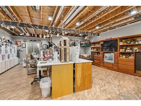 871 Shade Tree Dr, Windsor, CO 80550 photo 20