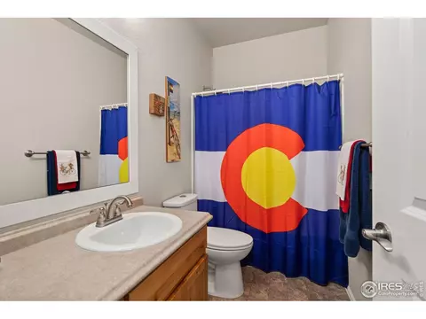 871 Shade Tree Dr, Windsor, CO 80550 photo 19