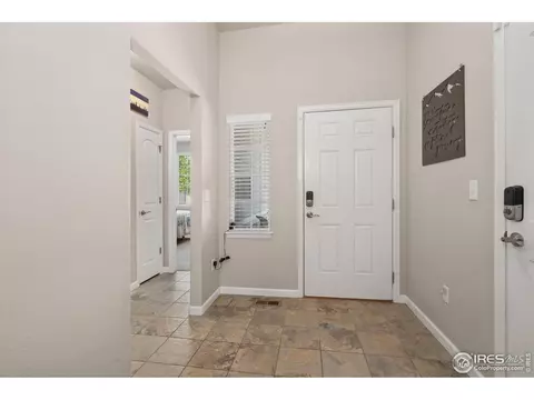 871 Shade Tree Dr, Windsor, CO 80550 photo 3