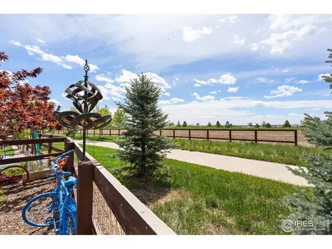 871 Shade Tree Dr, Windsor, CO 80550 photo 30