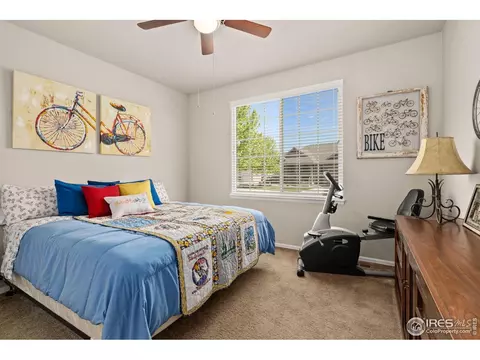 871 Shade Tree Dr, Windsor, CO 80550 photo 18
